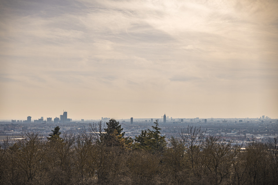Blick über Wien